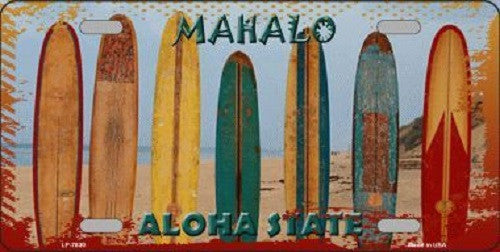 Aloha State Hawaii Blank State Background Novelty Metal License Plate