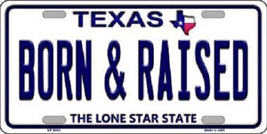 Born and Raised Texas Background Novelty Metal License Plate