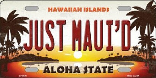 Just Mauid Sunset Background Novelty Metal License Plate